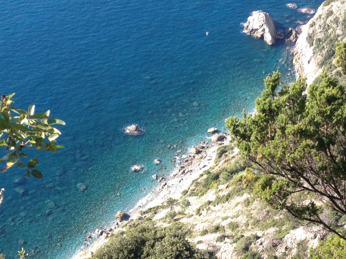 Host In Levanto - Maestrale Con Biciclette Dış mekan fotoğraf